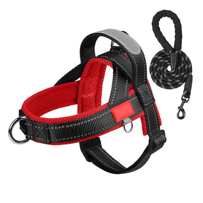 Dog harness + free leash measuring 1.5 m x 1.0