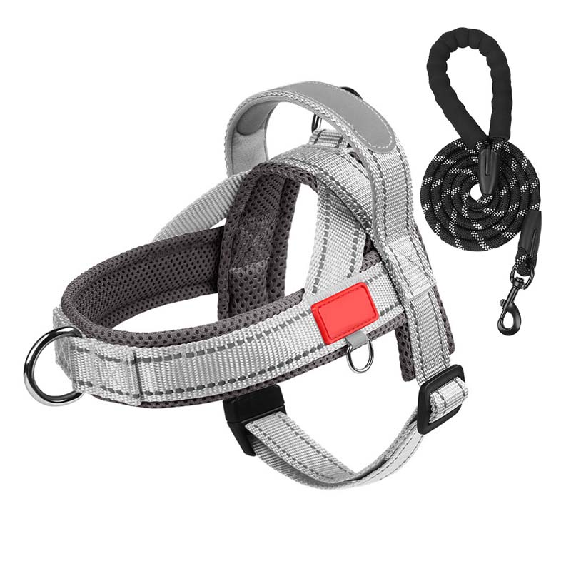 Dog harness + free leash measuring 1.5 m x 1.0