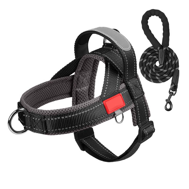 Dog harness + free leash measuring 1.5 m x 1.0