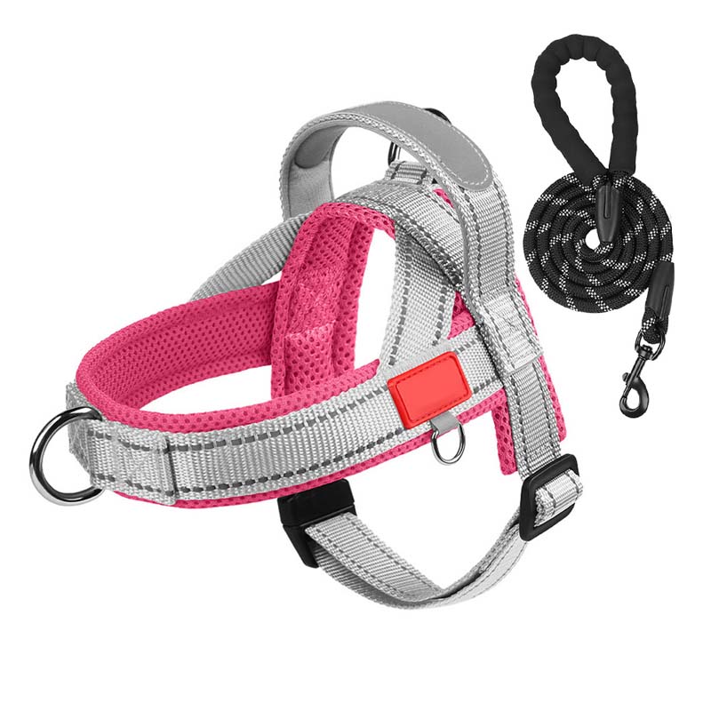Dog harness + free leash measuring 1.5 m x 1.0