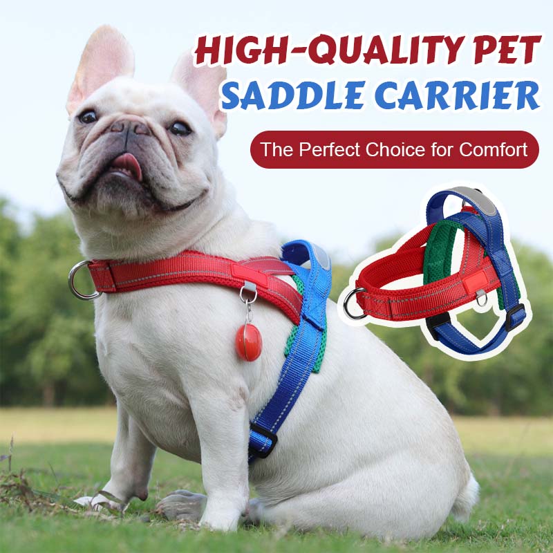 Dog harness + free leash measuring 1.5 m x 1.0
