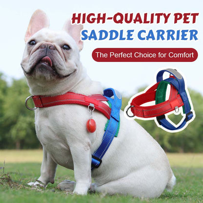 Dog harness + free leash measuring 1.5 m x 1.0