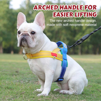 Dog harness + free leash measuring 1.5 m x 1.0