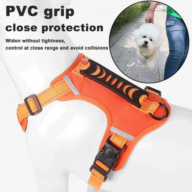 🔥 50% BLACK FRIDAY SALE! 🐕‍🦺 Dog harness with pull protection 🐾 No more jerking on the leash
