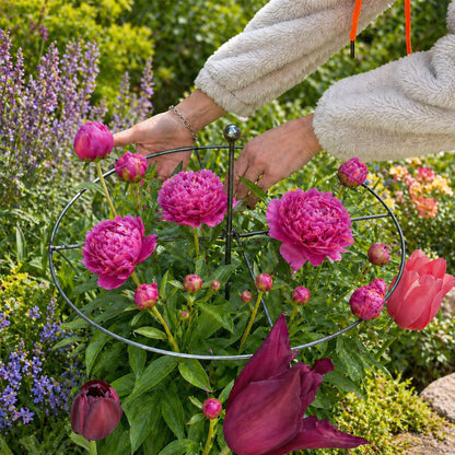 📢📢LAST DAY SALE 50% OFF🌷Plant Support
