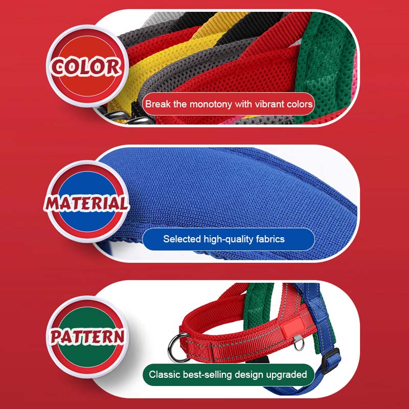 Dog harness + free leash measuring 1.5 m x 1.0