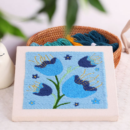 Stitch frame punch needle kit