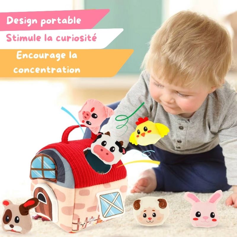 Montessori educational set + FREE sensory nes