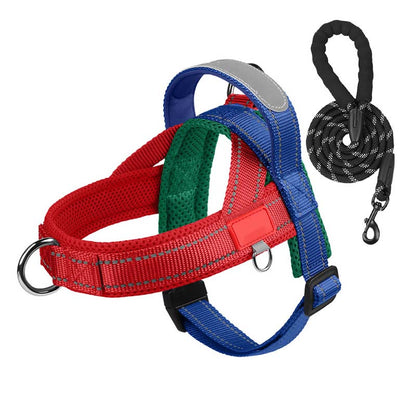 Dog harness + free leash measuring 1.5 m x 1.0