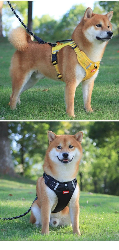 🔥 50% BLACK FRIDAY SALE! 🐕‍🦺 Dog harness with pull protection 🐾 No more jerking on the leash
