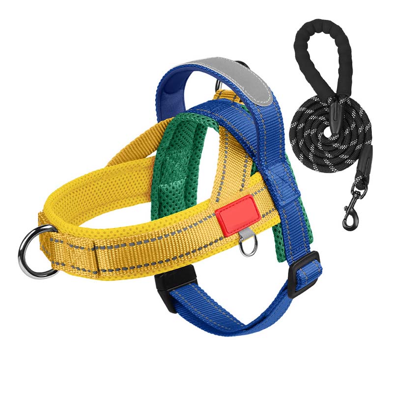 Dog harness + free leash measuring 1.5 m x 1.0