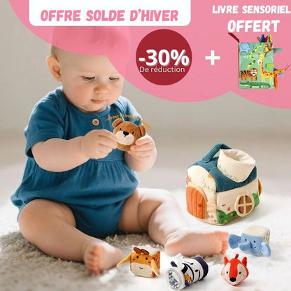 Montessori educational set + FREE sensory nes