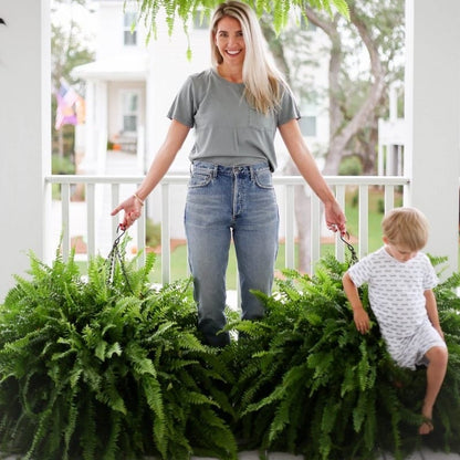 🌱 UV-resistant, lifelike artificial Boston fern