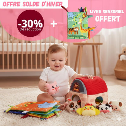 Montessori educational set + FREE sensory nes