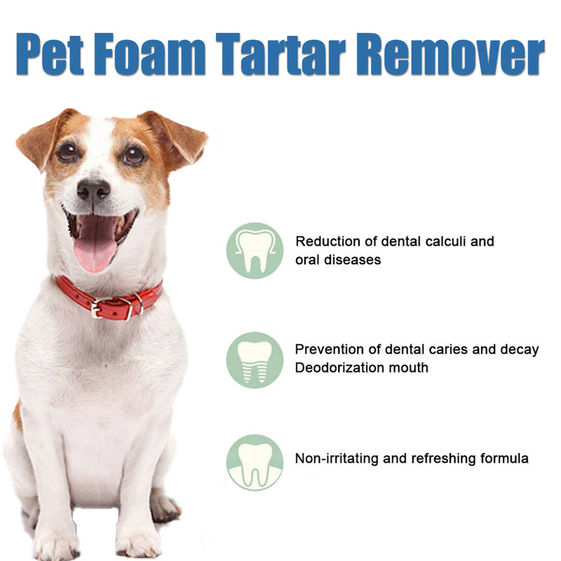 🌞Spring is in the air: Special offers!🐾 Foaming tartar remover for pets – Natural formula & easy to use