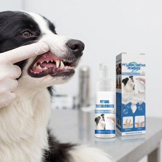 🌞Spring is in the air: Special offers!🐾 Foaming tartar remover for pets – Natural formula & easy to use