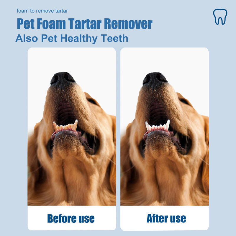 🌞Spring is in the air: Special offers!🐾 Foaming tartar remover for pets – Natural formula & easy to use